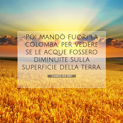 Picture 07 - Genesi 8:8 RIV - Poi mandò fuori la colomba, per vedere se le - Bible Verse Picture