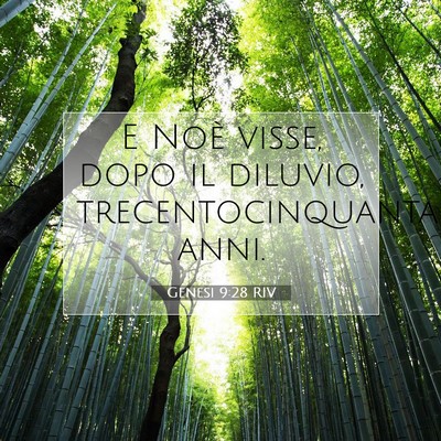 Picture 07 - Genesi 9:28 RIV - E Noè visse, dopo il diluvio, trecentocinquanta - Bible Verse Picture