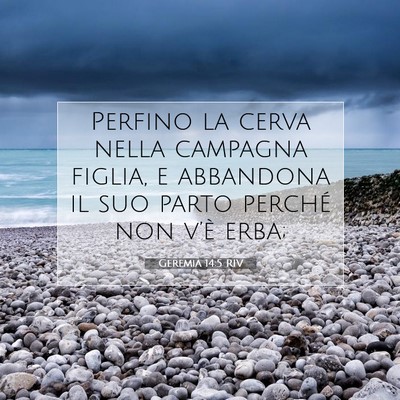 Picture 07 - Geremia 14:5 RIV - Perfino la cerva nella campagna figlia, e - Bible Verse Picture
