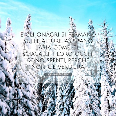 Picture 07 - Geremia 14:6 RIV - e gli onàgri si fermano sulle alture, aspirano - Bible Verse Picture