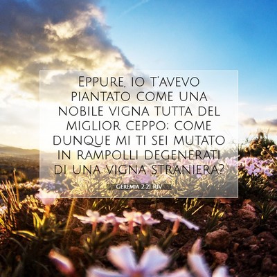 Picture 07 - Geremia 2:21 RIV - Eppure, io t’avevo piantato come una nobile - Bible Verse Picture