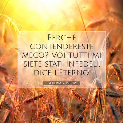 Picture 07 - Geremia 2:29 RIV - Perché contendereste meco? Voi tutti mi siete - Bible Verse Picture