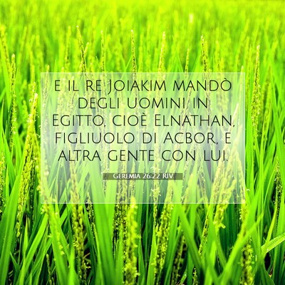 Picture 07 - Geremia 26:22 RIV - e il re Joiakim mandò degli uomini in Egitto, - Bible Verse Picture