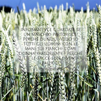 Picture 07 - Geremia 30:6 RIV - Informatevi e guardate se un maschio partorisce! - Bible Verse Picture
