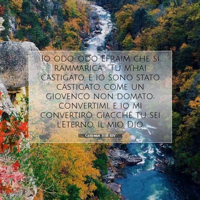 Picture 07 - Geremia 31:18 RIV - Io odo, odo Efraim che si rammarica: “Tu - Bible Verse Picture