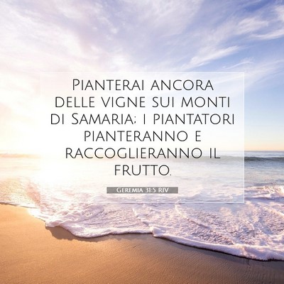 Picture 07 - Geremia 31:5 RIV - Pianterai ancora delle vigne sui monti di - Bible Verse Picture