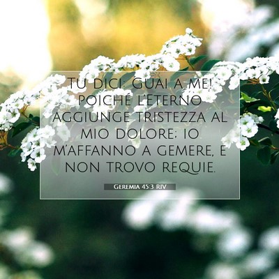 Picture 07 - Geremia 45:3 RIV - Tu dici: Guai a me! poiché l’Eterno aggiunge - Bible Verse Picture