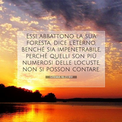 Picture 07 - Geremia 46:23 RIV - Essi abbattono la sua foresta, dice l’Eterno, - Bible Verse Picture