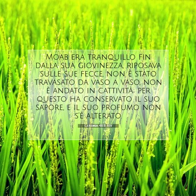 Picture 07 - Geremia 48:11 RIV - Moab era tranquillo fin dalla sua giovinezza, - Bible Verse Picture