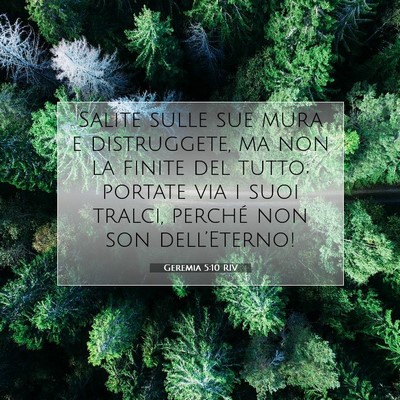 Picture 07 - Geremia 5:10 RIV - Salite sulle sue mura e distruggete, ma non la - Bible Verse Picture