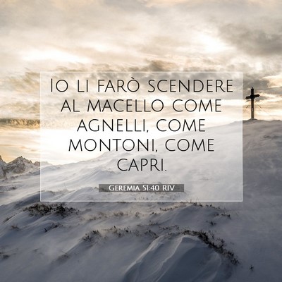 Picture 07 - Geremia 51:40 RIV - Io li farò scendere al macello come agnelli, - Bible Verse Picture