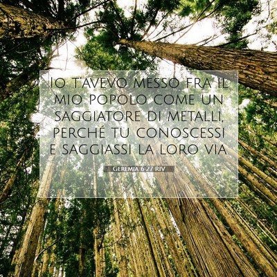 Picture 07 - Geremia 6:27 RIV - Io t’avevo messo fra il mio popolo come un - Bible Verse Picture