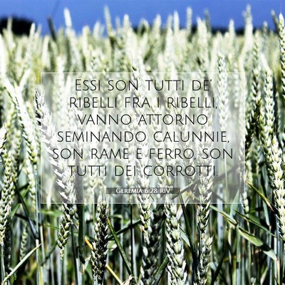 Picture 07 - Geremia 6:28 RIV - Essi son tutti de’ ribelli fra i ribelli, vanno - Bible Verse Picture
