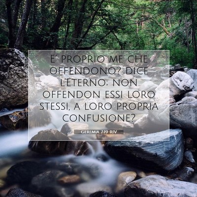 Picture 07 - Geremia 7:19 RIV - E’ proprio me che offendono? dice l’Eterno; - Bible Verse Picture