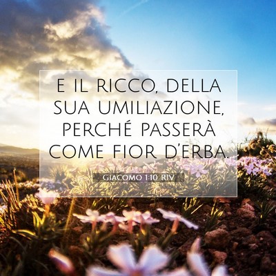 Picture 07 - Giacomo 1:10 RIV - e il ricco, della sua umiliazione, perché - Bible Verse Picture