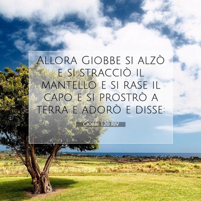 Picture 07 - Giobbe 1:20 RIV - Allora Giobbe si alzò e si stracciò il mantello - Bible Verse Picture