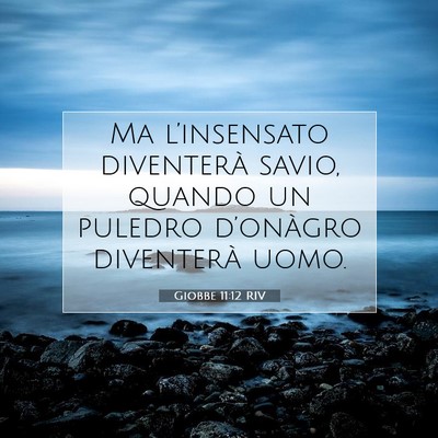 Picture 07 - Giobbe 11:12 RIV - Ma l’insensato diventerà savio, quando un - Bible Verse Picture