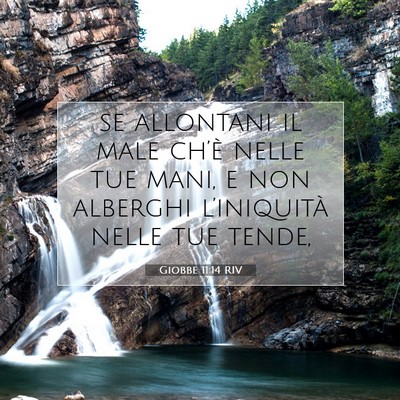 Picture 07 - Giobbe 11:14 RIV - se allontani il male ch’è nelle tue mani, e - Bible Verse Picture