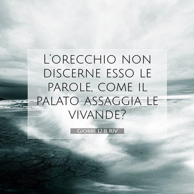 Picture 07 - Giobbe 12:11 RIV - L’orecchio non discerne esso le parole, come il - Bible Verse Picture