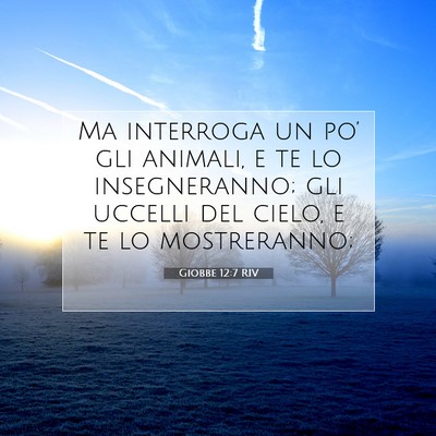 Picture 07 - Giobbe 12:7 RIV - Ma interroga un po’ gli animali, e te lo - Bible Verse Picture