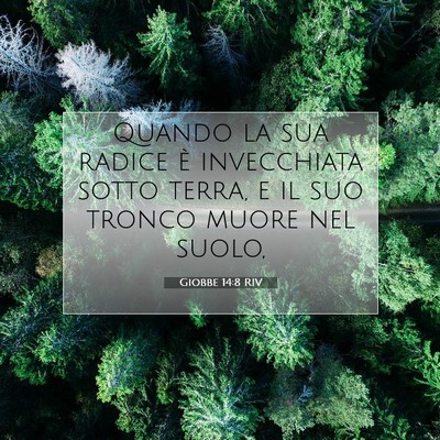 Picture 07 - Giobbe 14:8 RIV - Quando la sua radice è invecchiata sotto terra, - Bible Verse Picture
