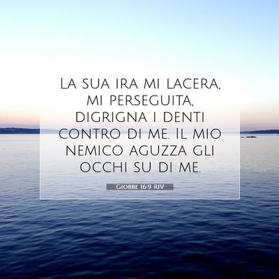 Picture 07 - Giobbe 16:9 RIV - La sua ira mi lacera, mi perseguita, digrigna i - Bible Verse Picture