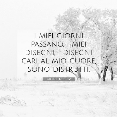 Picture 07 - Giobbe 17:11 RIV - I miei giorni passano, i miei disegni, i disegni - Bible Verse Picture