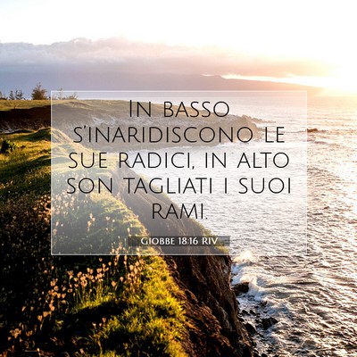 Picture 07 - Giobbe 18:16 RIV - In basso s’inaridiscono le sue radici, in alto - Bible Verse Picture