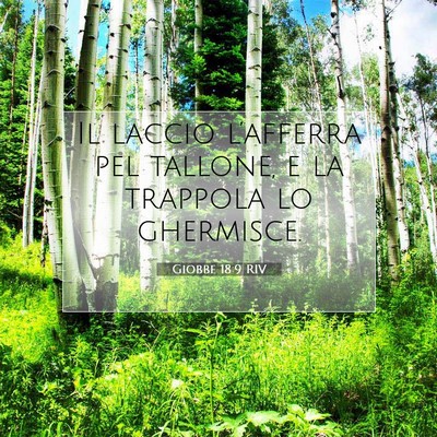 Picture 07 - Giobbe 18:9 RIV - Il laccio l’afferra pel tallone, e la trappola - Bible Verse Picture