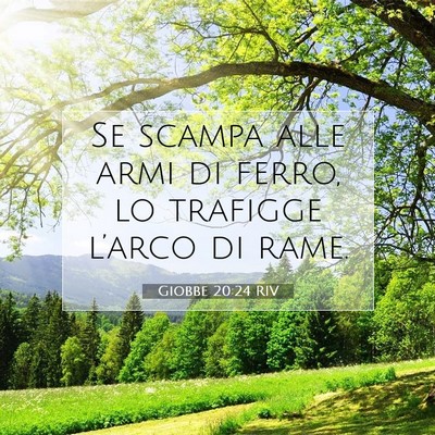 Picture 07 - Giobbe 20:24 RIV - Se scampa alle armi di ferro, lo trafigge - Bible Verse Picture