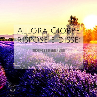 Picture 07 - Giobbe 21:1 RIV - Allora Giobbe rispose e - Bible Verse Picture