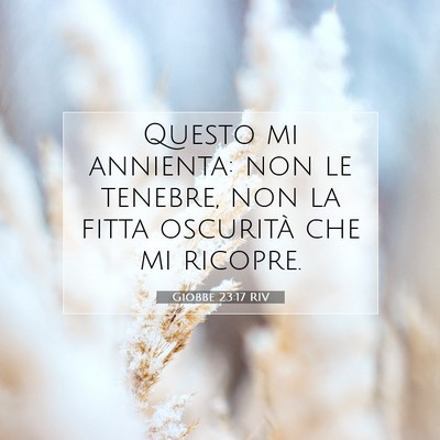 Picture 07 - Giobbe 23:17 RIV - Questo mi annienta: non le tenebre, non la fitta - Bible Verse Picture