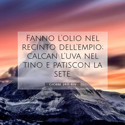 Picture 07 - Giobbe 24:11 RIV - Fanno l’olio nel recinto dell’empio; calcan - Bible Verse Picture