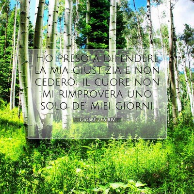 Picture 07 - Giobbe 27:6 RIV - Ho preso a difendere la mia giustizia e non - Bible Verse Picture