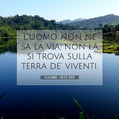 Picture 07 - Giobbe 28:13 RIV - L’uomo non ne sa la via, non la si trova sulla - Bible Verse Picture