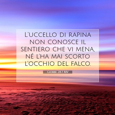 Picture 07 - Giobbe 28:7 RIV - L’uccello di rapina non conosce il sentiero che - Bible Verse Picture