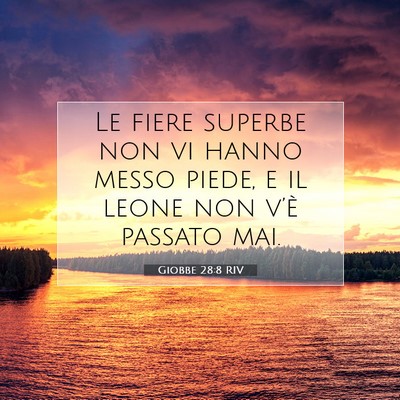 Picture 07 - Giobbe 28:8 RIV - Le fiere superbe non vi hanno messo piede, e il - Bible Verse Picture
