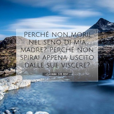 Picture 07 - Giobbe 3:11 RIV - Perché non morii nel seno di mia madre? Perché - Bible Verse Picture