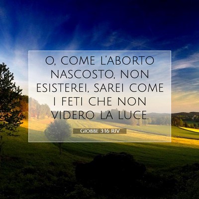 Picture 07 - Giobbe 3:16 RIV - o, come l’aborto nascosto, non esisterei, sarei - Bible Verse Picture