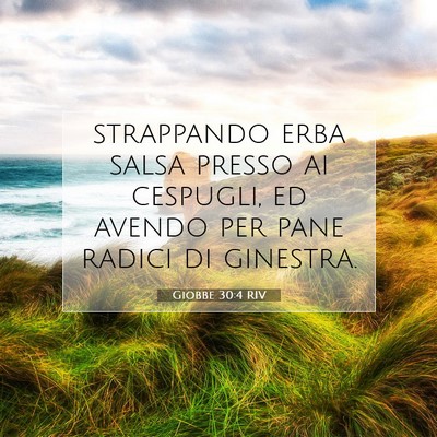 Picture 07 - Giobbe 30:4 RIV - strappando erba salsa presso ai cespugli, ed - Bible Verse Picture