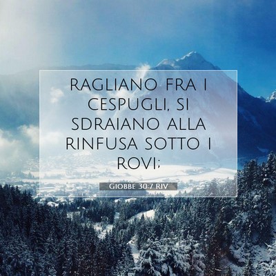 Picture 07 - Giobbe 30:7 RIV - ragliano fra i cespugli, si sdraiano alla rinfusa - Bible Verse Picture