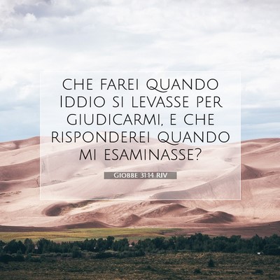 Picture 07 - Giobbe 31:14 RIV - che farei quando Iddio si levasse per giudicarmi, - Bible Verse Picture