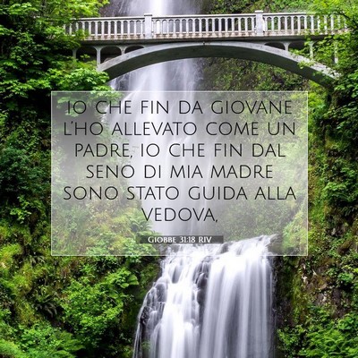 Picture 07 - Giobbe 31:18 RIV - io che fin da giovane l’ho allevato come un - Bible Verse Picture