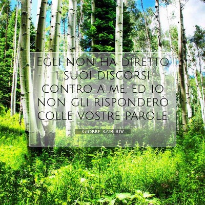 Picture 07 - Giobbe 32:14 RIV - Egli non ha diretto i suoi discorsi contro a me, - Bible Verse Picture