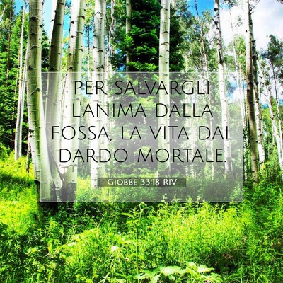Picture 07 - Giobbe 33:18 RIV - per salvargli l’anima dalla fossa, la vita dal - Bible Verse Picture