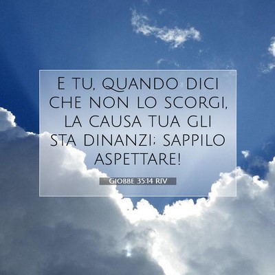 Picture 07 - Giobbe 35:14 RIV - E tu, quando dici che non lo scorgi, la causa tua - Bible Verse Picture