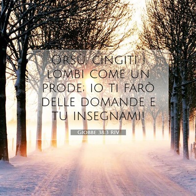 Picture 07 - Giobbe 38:3 RIV - Orsù, cingiti i lombi come un prode; io ti farò - Bible Verse Picture