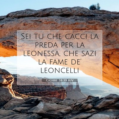Picture 07 - Giobbe 38:39 RIV - Sei tu che cacci la preda per la leonessa, che - Bible Verse Picture