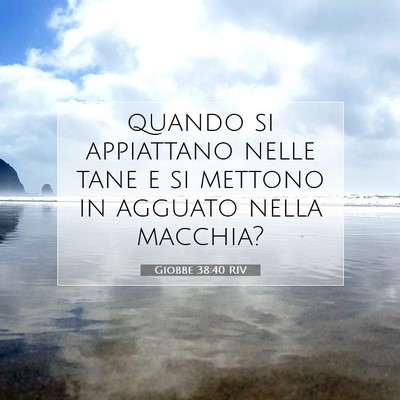 Picture 07 - Giobbe 38:40 RIV - quando si appiattano nelle tane e si mettono in - Bible Verse Picture