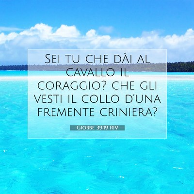 Picture 07 - Giobbe 39:19 RIV - Sei tu che dài al cavallo il coraggio? che gli - Bible Verse Picture